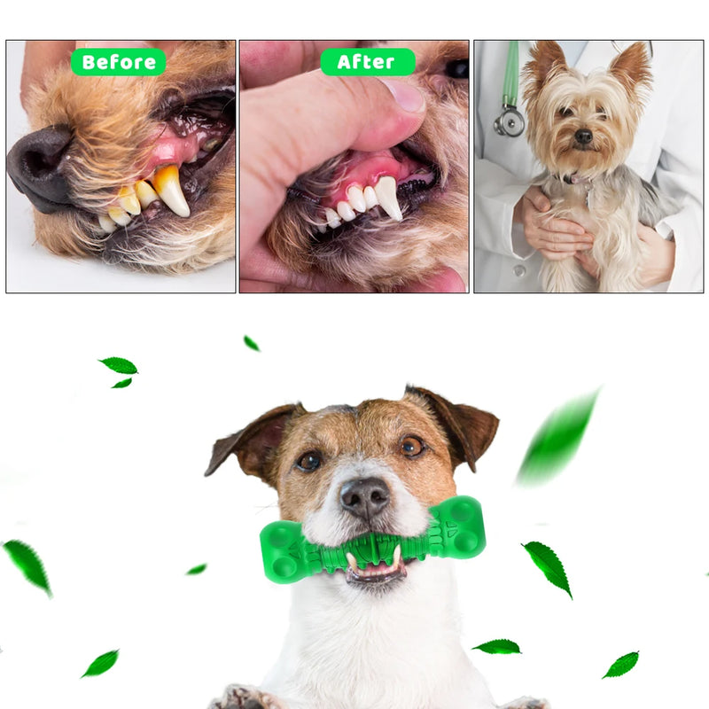 Green Natural Rubber Bite-resistant Bone Molar Rod Pet Toy Rugby Interactive Training Puppies Molar Method Dog Chewing Toy